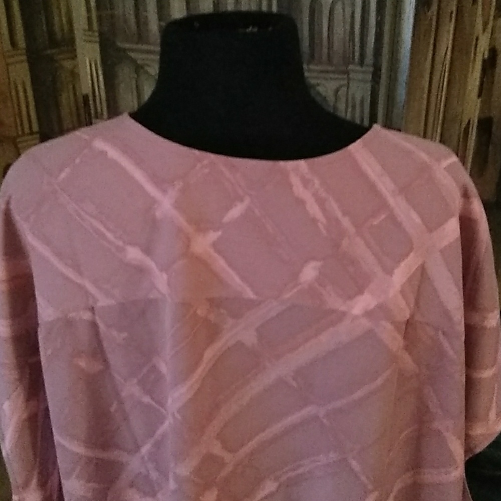 Pink/Tan Blouse - Picture 2 of 4